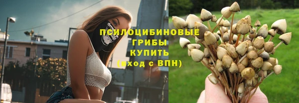 гидра Дмитровск