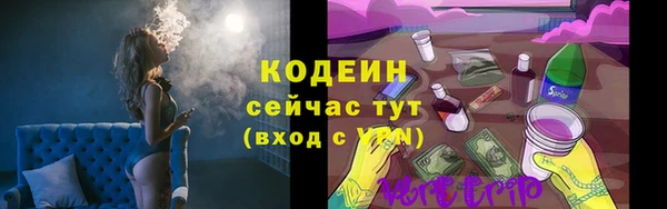 apvp Дмитриев