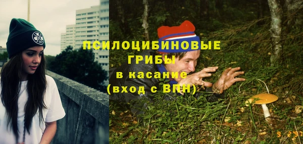 apvp Дмитриев