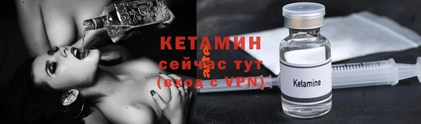 apvp Дмитриев
