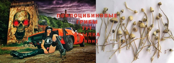 герыч Дмитров