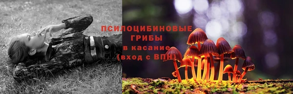 герыч Дмитров
