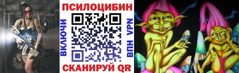 Псилоцибиновые грибы GOLDEN TEACHER Купить где Дмитров