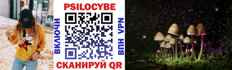 Псилоцибиновые грибы мухоморы Дмитров